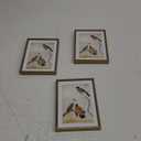 5x7 Picture Frame Set of 3, Brass Metal Photo Frames with HD Glass, Fits 4x6 with Mat or 5x7 without Mat, Wall Hanging and Table Display