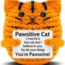 Emotional Support Positive Cat Crochet for Women, Orange Cat Gifts for Mom Sister Friend Positive Animal Decor Valentine's Day, Christmas, Birthday Gifts