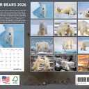 Polar Bear Calendar 2026 Monthly Wall Calender 12 Month | American Made In The USA