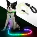 YFbrite 5FT Light up Dog Leash with 15 Flashing Modes - Super Bright LED Dog Leash for Small Medium Large Dogs - Type-c Rechargeable Dogs Leashes Light (Multi-Color, 5FT (150cm))