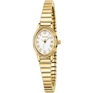TKIIOER Small Gold Watches for Women, Easy to Read Dial Ladies Analog Watch, Oval Case, Stainless Steel Expansion Band, Waterproof Watch