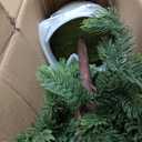 2Pcs 4FT Artificial Norfolk Pine Christmas Potted Trees for Porch Decor