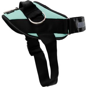 ShawnCo Essential Dog Harness, No-Pull Pet Vest with 3 Leash Clips, No Choke, Reflective, Adjustable and Padded, for Easy Walking and Training for Small, Medium and Large Dogs (Seafoam, S)