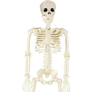 Eyglajdd 36in/3ft Halloween Skeleton Decorations,Plastic Full Body with Movable Joints Skeleton for Halloween Props Decor
