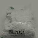 Sleep Solution Moonsea 2 Count White Pillow Case 20x30 inches, Twin Size Fitted Sheet