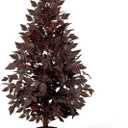 Giegxin 1 Pack 3ft Spring Artificial Tree, Faux Cimicifuga Tree, Artificial Plum Cimicifuga Stems Seeded Plants, Weather Resistant Spring Plant Decor for Porch, Mantel, Outdoor, Indoor