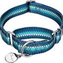 Martingale Dog Collar No Pull Pet Collar Heavy Duty Dog Martingale Collars Silky with Unique Geometric Pattern for Medium and Large Dogs (M, Turquoise) (M: 14"-21")