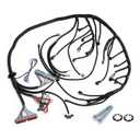 T56 DBC LS1 Standalone Wiring Harness Compatible with 1997-2006 T56 LS TH400 TH350 200-4R Or Non-Electric Wire Engines 4.8 5.3 6.0 Vortec Drive by Cable EV1 Fuel Injectors