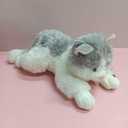 Plush Cat Stuffed Animal, Grey and White, Soft Cuddly Toy