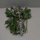 Winlyn 20 Pcs Mixed Artificial Oval Eucalyptus Leaves Bulk with White Seeds Stems and Spray for Vase Floral Wreath Bouquets Wedding Greenery Decoration