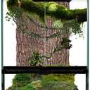 11 Gallon Reptile Glass Tank Vertical Terrarium 12"x12"x18" Habitat Enclosure with Front Openning Door and Top Screen Ventilation for Geckos, Snakes,Tree Frogs,Chameleon