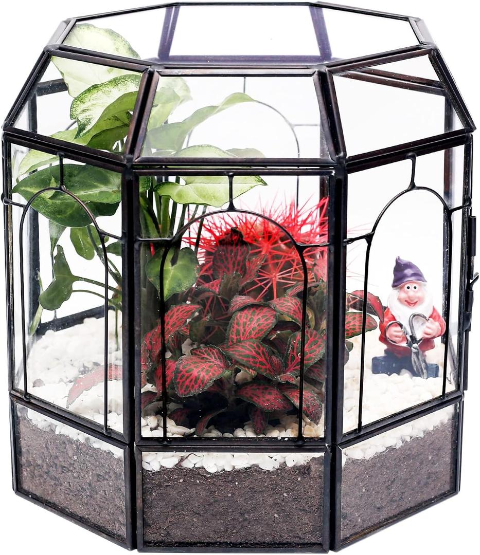 Large Glass Terrarium Handmade, Centerpiece Display Box Gift Planter Containers Indoor Terrariums House for Succulent Cacti Air Plants Miniature Fairy Garden (Black)