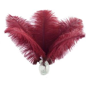 Ballinger Burgundy Large Ostrich Feathers - 12Pcs 14-16inch Large Wine Red Feathers for Vase, Wedding Party Centerpieces and Halloween Home Decor