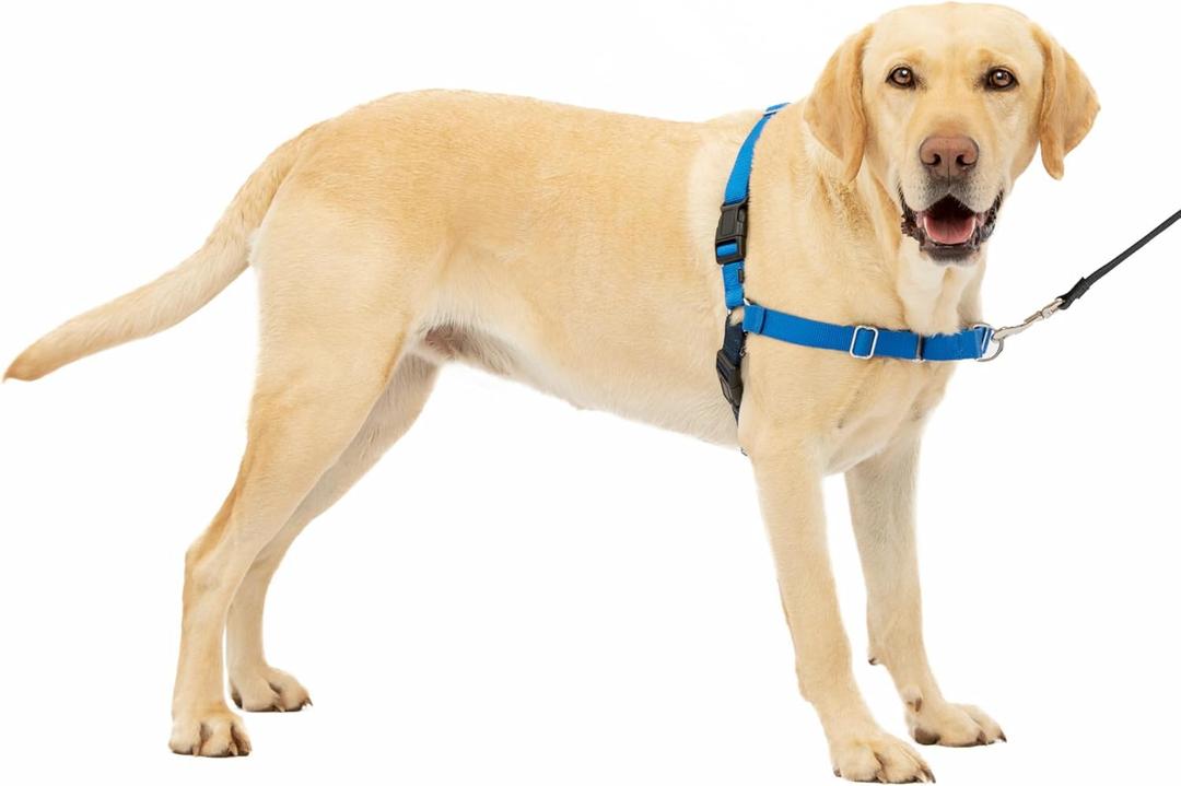PetSafe Easy Walk No-Pull Dog Harness - Ultimate Harness to Help Stop Pulling - Pull-Free Walks - Take Control & Teach Better Leash Manners - Patented Martingale Loop Design - Royal Blue, Large