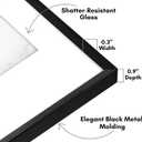 Americanflat 8x12 Metal Picture Frame with Tempered Glass - Use as 6x8 Frame with Mat or Display 8x12 Photo Without Mat - Brooklyn Collection - Picture Frames for Tabletop or Wall - Black
