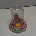 Sea-Monkeys On Mars - World's Only Instant Pets - Ages 6+ (Pack of 1)