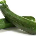 2 x Seeds SunGreen Zucchini Squash Non GMO Vegetable Heirloom for Planting