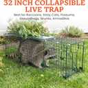 HOMESTEAD 32 Inch Heavy Duty Collapsible Live Animal Trap - Humane Catch and Release Trap for Squirrels, Stray Cats, Raccoons, Rabbits, Foldable Steel Trap, Space-Saving (32 Inch)