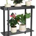 Honla Metal Plant Stand Indoor Outdoor,2 Tier Window Tall Plant Table Bench Shelf for Multiple Plants,26" L x 8.66" W x 24.40" H,Black