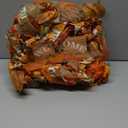 Waipfaru Fall Wreaths for Front Door, Fall Mesh Wreath with Wooden Sign Fishnet Yarn Autumn Pumbkin, Thanksgiving Halloween Decorations for Home, Porch Decor(18-20 Inch)