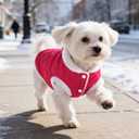 PUPTECK Dog Winter Coat, Warm Fleece Pet Jacket with Harness Built in, Water Resistant Windproof Collar Dog Puffer Vest, Doggy Snowsuits for Medium Small Dogs Cold Weather Apparel Outdoor, Pink L
