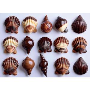 Seashell 1000 Piece Puzzle for Adults, Fun Puzzles for Adults 1000 Pieces with HD Print Poster, 27.5" X 19.7" Dust Free, for Gifts Birthday Holiday Party Family Games Lovers