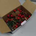 9.8Ft Christmas Pine Cone String Lights with Red Berries, Bells & Needles 30 LED Battery Operated Prelit Garland for Christmas Home Table Holiday Indoor/Outdoor Decorations