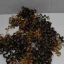 7 Packs GoGo Curl Crochet Hair 14 Inch Short Curly Crochet Hair for Women Beach Curl Water Wave Deep Twist Crochet Braids Synthetic Braiding Hair Extensions (14 Inch, T1B/27)