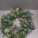 HD Designs Eucalyptus/Berry Spiral Vine Wreath, 16 in