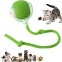 Chewie Viral 360 Smart Automatic Rolling Pet Ball - Interactive Dog & Cat Toy (Green)