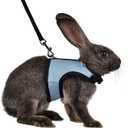 Niteangel Adjustable Soft Harness with Elastic Leash for Rabbits (M, Blue)