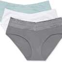 Warner's Women's Blissful Benefits Dig-Free Comfort Waist with Lace Cotton Hipster 3-Pack , Smoked Pearl/ White/ Summer Sky, Large