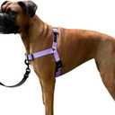 ShawnCo Dream Walk No-Pull Dog Harness- Adjustable, Comfortable, Easy to Use Pet Halter to Help Stop Pulling for Small, Medium and Large Dogs (ICY Lilac, S)