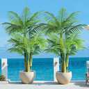5ft Tall Triple Golden Cane Palm Artificial Tree Large Tropical Palm Tree UV Resistant Fake Plant in Pot for Indoor Outdoor Big House Living Room Outside Patio Office Home Decor 2Pack