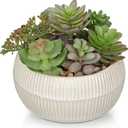 DILATATA Artificial Succulent Plants in Pot 5.5 Inch Fake Succulents Arrangement Potted Plant in White Ceramic Planter Bowl for Home Office Desk Shelf Living Room Bedroom Bathroom Decor
