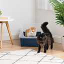 IRIS USA Cat Litter Box XX-Large Open Top with High Sided Walls Tall Scatter Shield Scoop Included Easy Clean Plastic Pan for Big Cats Kittens Multi-Cat Households 30"L x 20"W x 14"H Navy