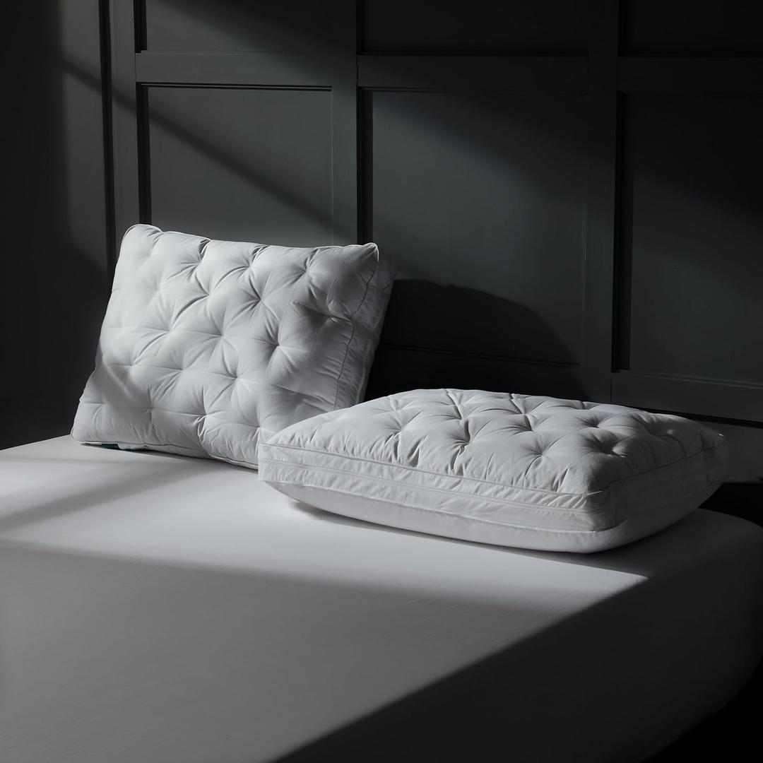 Three Geese Adjustable Layer Goose Feather Down Pillows Queen Set of 2, Assemblable Bed Pillow with Cotton Cover for Side/Back/Stomach Sleepers, Customizable Firmness Design 20x28 (White) Three Geese Adjustable Layer Goose Feather Down Pillows Queen Set of 2, Assemblable Bed Pillow with Cotton Cover for Side/Back/Stomach Sleepers, Customizable Firmness Design 20x28 (White)