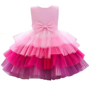 Flower Baby Girl Lace Dress Toddler Tulle Sleeveless Bow Princess Party Wedding Pageant Bridesmaid (6-12M)