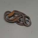 Mile High Life Small Dog Leash, Thin Rope Leash with Genuine Leather Connection and Heavy Duty Metal Clasp, Great for Small Medium Dogs(Brown,48 Inch-1/3)