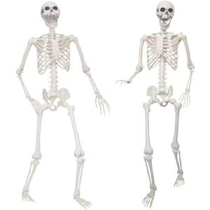 Lodou 2 Pack 5.4ft/165cm Life Size Skeleton Halloween Skeletons,Full Body Human Bones with Movable Joints for Indoor Outdoor Halloween Decor
