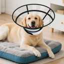 Sponge Core Dog Cat Cone Collar for After Surgery Recovery, Inflatable Dog Cone Alternative, Lainergie Dogs Donut Collar Adjustable with 2PCS Cover for Large Medium Small Dogs Cats (Grey+Yellow, XL)