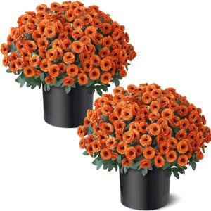 2 Sets Artificial Fall Flowers Topiary Ball Trees for Front Forch (Orange) with Pots, No-Installation, Faux Petunia with Eucalyptus, for Outside Front Door,  Each 17 inches in height and 17 inches in width