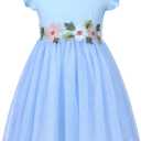 HILEELANG Little Flower Girl Tulle Tutu Dress Easter Cotton Ribbed Birthday Wedding Party Princess Dresses (3T, 251221#skyblue)