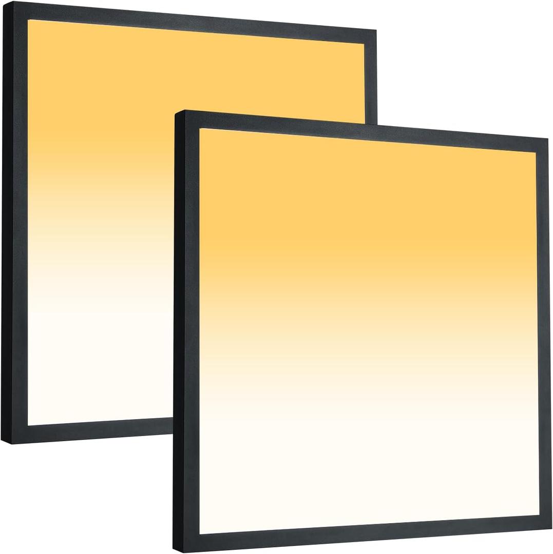 2x2 FT LED Flush Mount Panel Light 5000K 4000K 3000K Selectable & Dimmable, Black Square Surface Mount led Ceiling Light, 40W, 4400LM, 100-277V, ETL Listed, 2 Pack