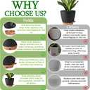 2 Pack 8 Inch Pots for Plants Indoor, Plastic Self Watering Planters with Drainage Holes, Water Level Indicator & Deep Reservoir, Decorative Flower Pots Indoor Outdoor Use (Black