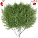 Hananona 40 Pcs Artificial Cedar Picks Faux Cedar Branches Fake Cypress Stems Plastic Pine Greenery Christmas Picks and Sprays DIY Accessories for Crafts Wreath Holiday Home Decor (40, Green)
