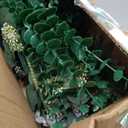 CulaLuva 130 Pcs Bulk Mixed Faux Greenery Stems | 5 Types Artificial Eucalyptus Branches, for Flower Arrangements/ Wedding Bouquets/ Vase Centerpieces and Home Decor