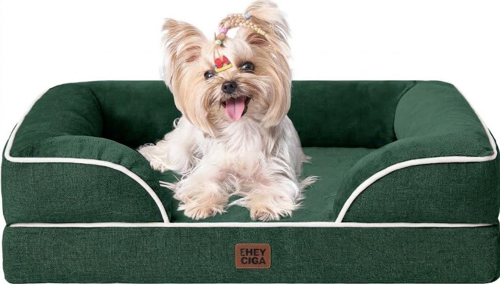 EHEYCIGA Orthopedic Small Dog Bed, Waterproof Memory Foam Washable Pet Beds Non-Slip Bottom and Egg-Crate Foam Medium Pet Couch Bed with Washable Removable Cover, Green, 24"x19"