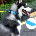 2 x Waterproof Dog Collars,Easy Clean Collar,Adjustable Dog Collars for Small,Medium, Large Dogs(Sky Blue, M)