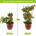 4 Pack Tomato Cage, 24 inches Plant Support Cages for Garden, Upgrade Garden Plant Stakes with Adjustable Rings, Plants Trellis for Tomato, Flower, Climbing Plants, with Twist Tie